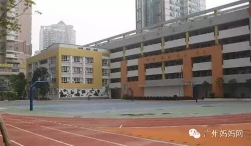 生二胎,广州最热的学位房你打听好了吗?最全在这里!-怀孕期