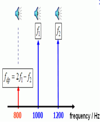 耳声发射图怎么看几种耳声发射的临床类型及特点_https://www.jmylbn.com_新闻资讯_第7张