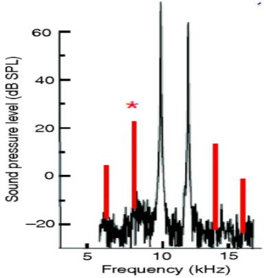 耳声发射图怎么看几种耳声发射的临床类型及特点_https://www.jmylbn.com_新闻资讯_第6张