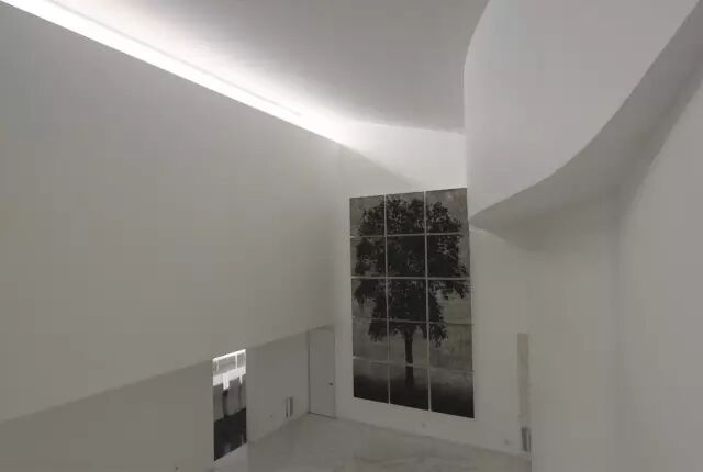 他设计的性冷淡在晚上嗨爆了