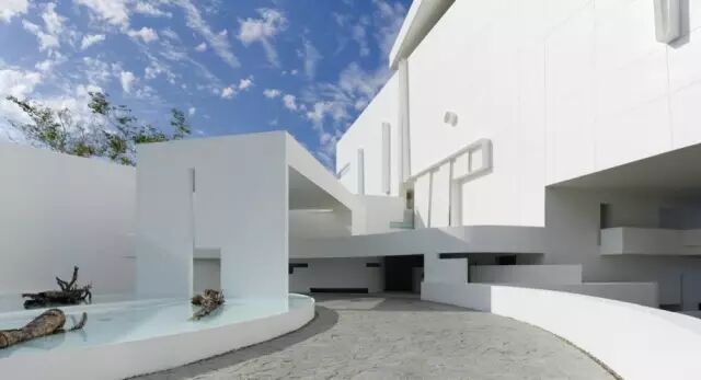 他设计的性冷淡在晚上嗨爆了