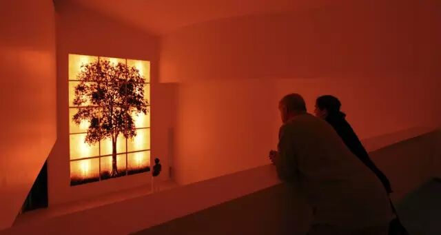 他设计的性冷淡在晚上嗨爆了