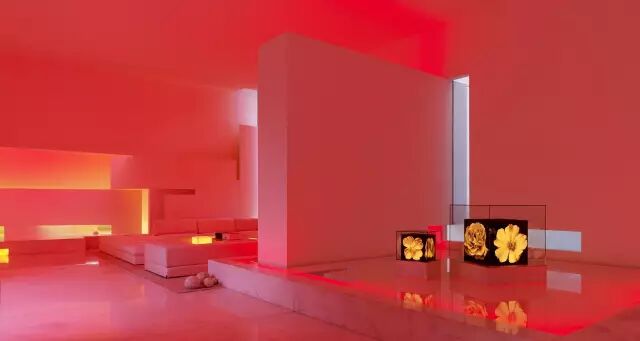 他设计的性冷淡在晚上嗨爆了