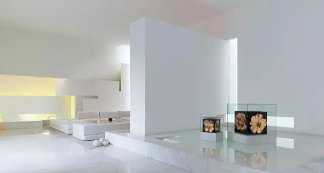 他设计的性冷淡在晚上嗨爆了