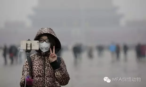 少吃点肉！救地球！...