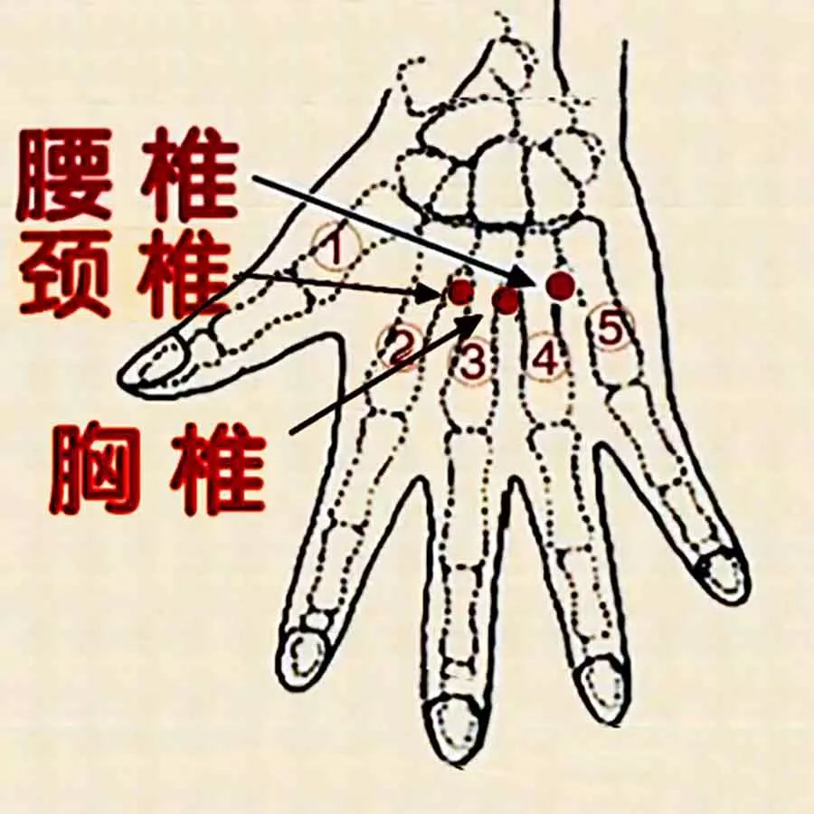 按压奇穴解除颈椎胸椎腰椎疼痛