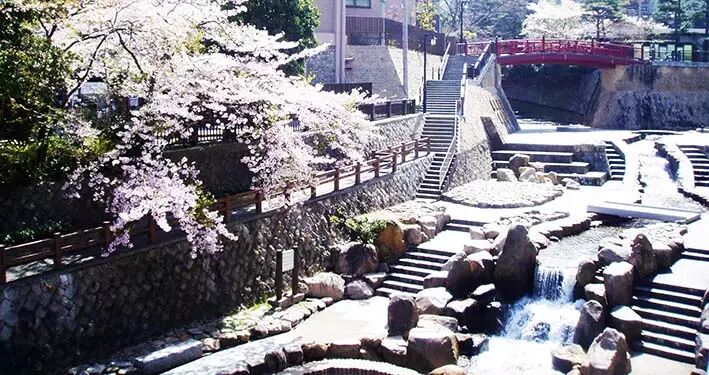 日本英医院生殖中心的日本试管婴儿技术