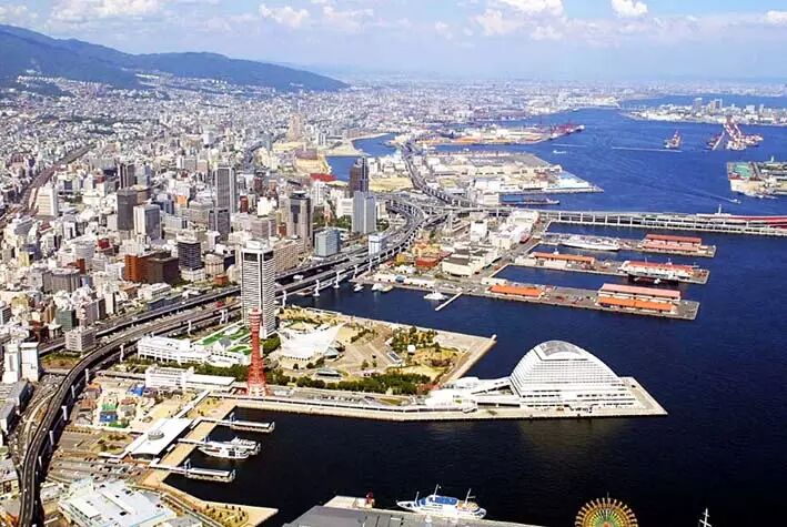 日本英医院生殖中心的日本试管婴儿技术