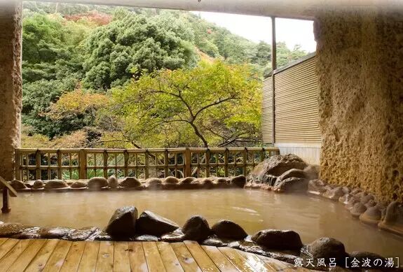 日本英医院生殖中心的日本试管婴儿技术