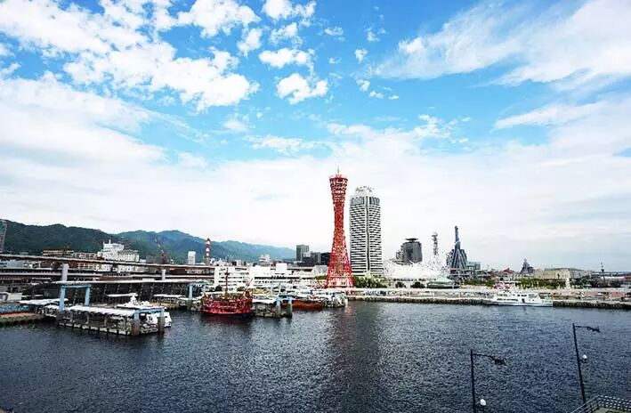 日本英医院生殖中心的日本试管婴儿技术