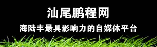 鱿鱼干怎么做好吃_干鱿鱼怎么煮好吃_干鱿鱼怎么弄手撕鱿鱼