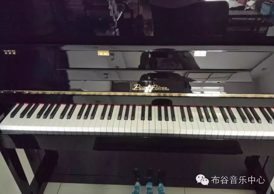 布谷鸟钢琴曲谱-布谷音乐租琴服务正式开启