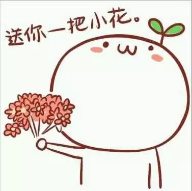 致华业的小伙伴们——记小编的轮岗实习