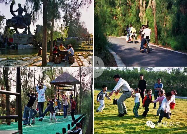 养老+农业+文化+旅游+地产+产业融合