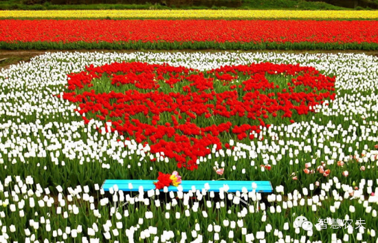 养老+农业+文化+旅游+地产+产业融合