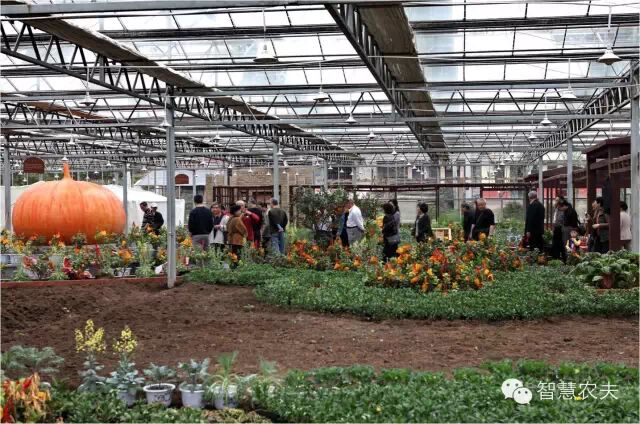 养老+农业+文化+旅游+地产+产业融合