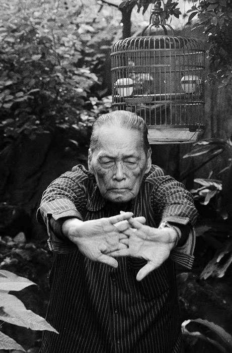 定格14位中国书画名家晚年珍贵的瞬间 - 大茗堂 - 大茗堂画廊 定格14位中国书画名家晚年珍贵的瞬间 - 大茗堂 - 大茗堂画廊