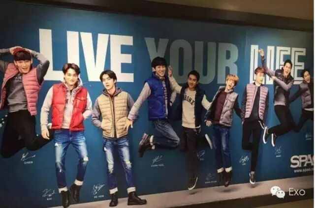 EXO你们都是骗子