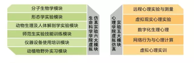 刘延东副总理点赞的华师信息化,你了解多少? 刘延东副总理点赞的华师信息化,你了解多少?