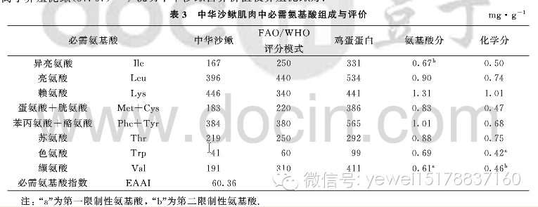 2014年11月25日在三哥家组织吃中华沙鳅（龙丁，沙泥鳅）