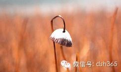 转载:什么样的家庭成就什么样的孩子!