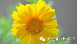 转载:什么样的家庭成就什么样的孩子!