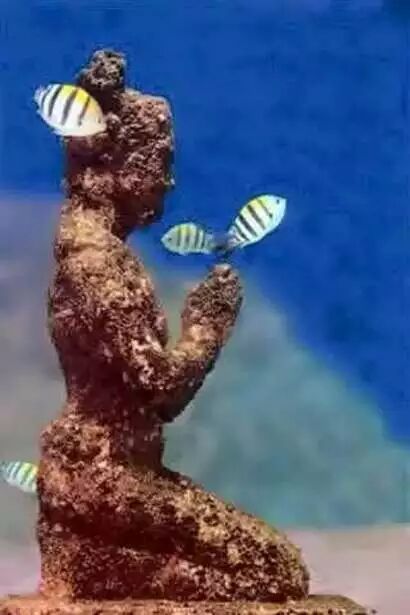 印尼惊现海底佛国,震惊世界