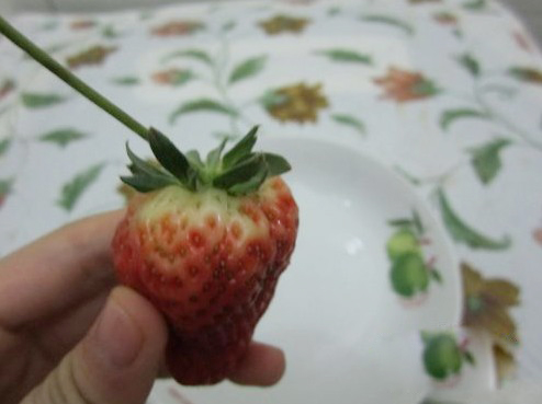 如何挑选草莓