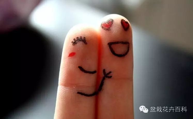 【小八卦】吴奇隆竟然是因为这个娶若曦!