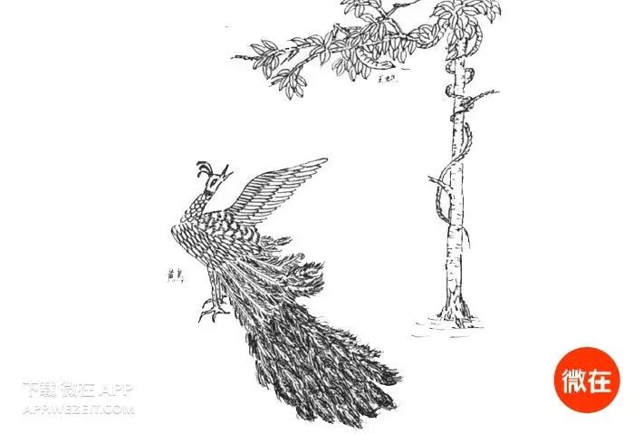 真友书屋 馆藏分类 《山海经》: