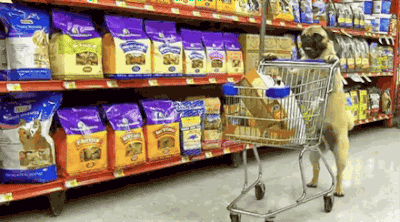 400_222gif 动态图 动图