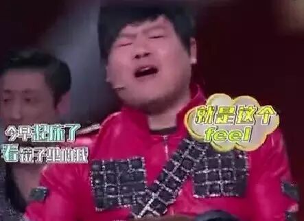 瞎了!岳云鹏模仿王力宏!全程高能表情包!