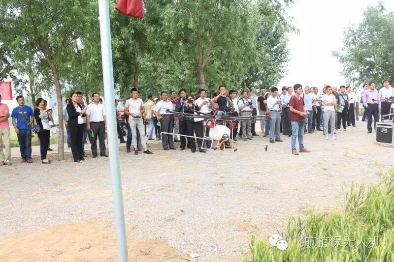 山東省麥田病蟲草害防治用藥示范現(xiàn)場觀摩會