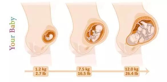 【金拇指孕期护理】二胎妈妈子宫险些被撑破!发生了什么?-怀孕期