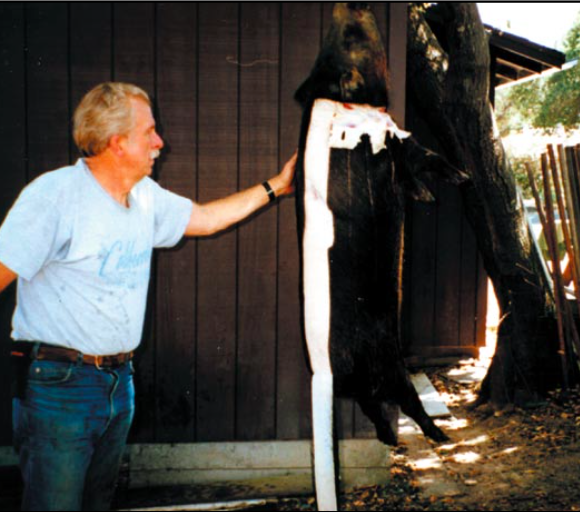 史上最详尽加州打野猪攻略