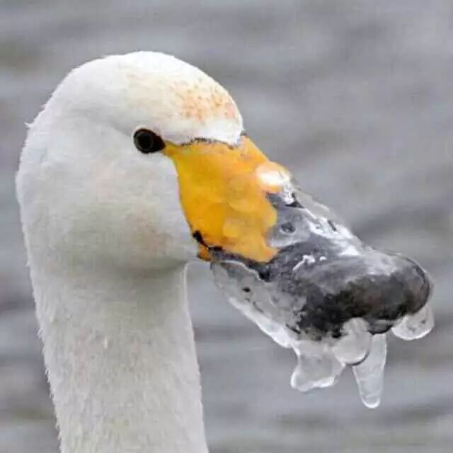 智慧产品是噱头？去电源化对什么避而不谈？华普产品获赞？|07微谈实录