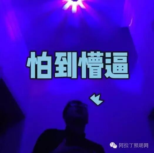 你们见过最丑的家装是怎样的？