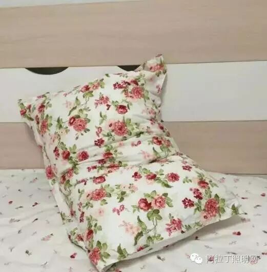 你们见过最丑的家装是怎样的？