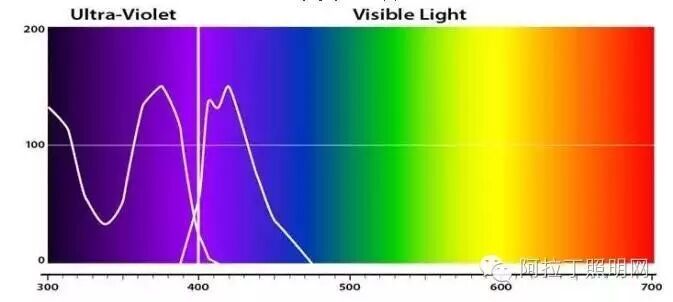 光亚展之行，说说跟光谱相关的光源们