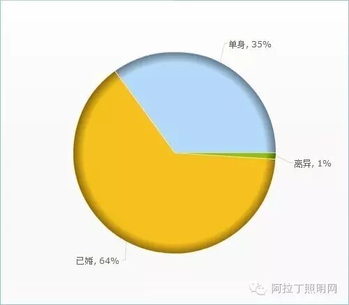 中国照明设计师现状调查报告|图多、信息量大、独家