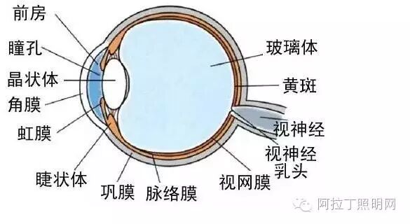 5大点分析什么才是城市景观照明的接收者？