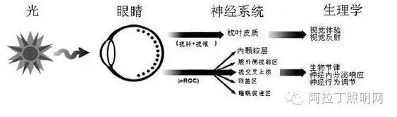 5大点分析什么才是城市景观照明的接收者？