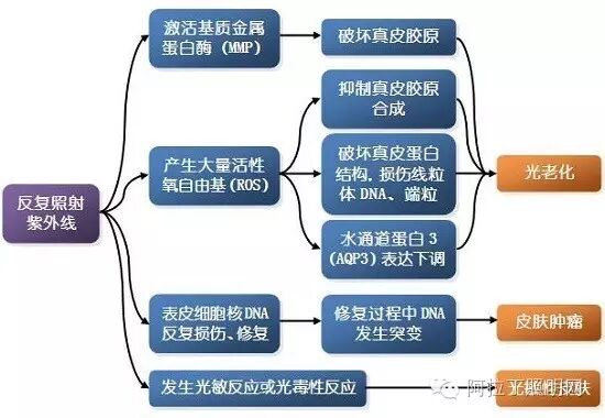 真有必要担心节能灯的紫外线辐射吗？