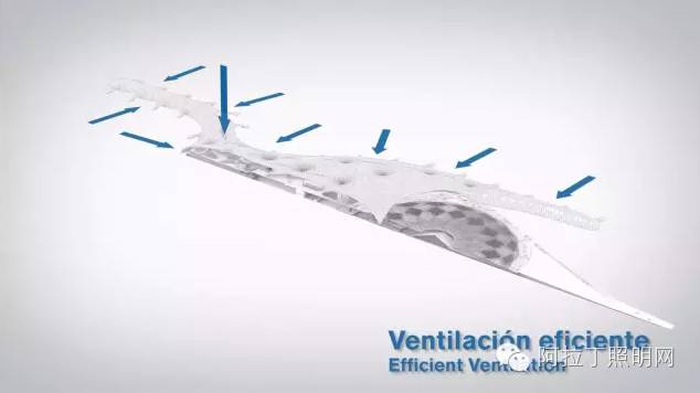 一座耗资百亿美元的未来机场长什么样？