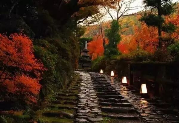 景观设计师，是时候提升你的照明设计水平咯！