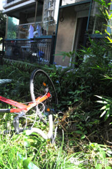 温州灭门惨案4死1伤 凶手杀死前妻一家三口捅伤女儿后自杀【组图】