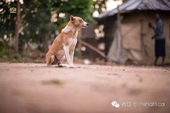 黑摄会出品-探访非洲深处小村落BUTULA