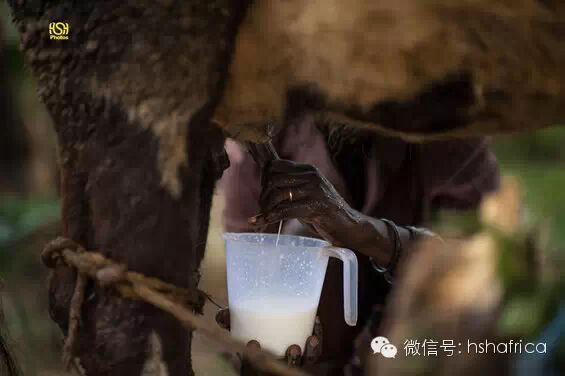 黑摄会出品-探访非洲深处小村落BUTULA