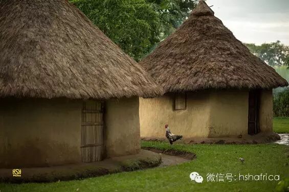 黑摄会出品-探访非洲深处小村落BUTULA