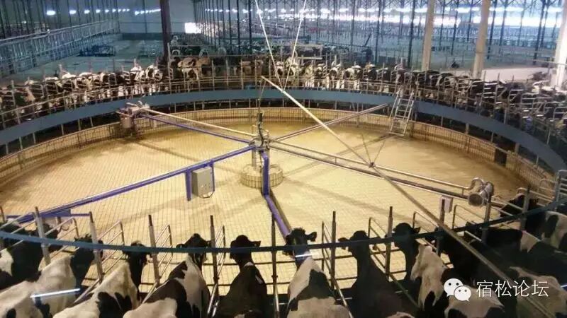 8月23日宿松一周岁内小宝宝或怀孕准妈妈可免费领取奶粉一听!-怀孕期